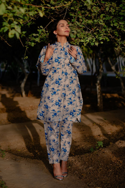 GULRAIZ - Farah Haris