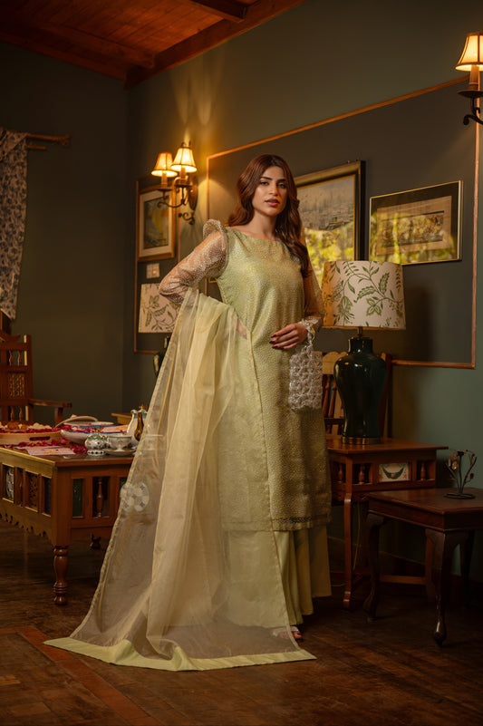 Chamak - 3 Piece Stitched